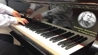 Schumann Remembrance piano by Prof. Jinfeng Li
