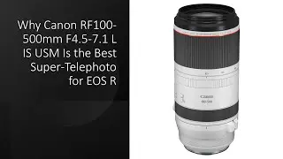 Why Canon RF100-500mm F4.5-7.1 L IS USM Is the Best Super-Telephoto for EOS R