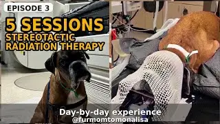 Mona&rsquo;s 5 Stereotactic Radiation Therapy Sessions (SRT) | Brain Tumor Diaries EP3