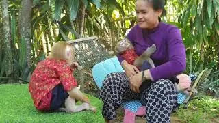 Cute brother Yoko look at mom holding monkey Koko with jealous