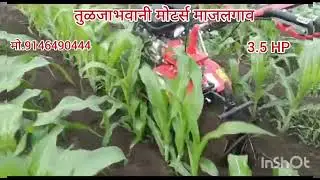 VARSHA 3.5 RABBIT MO.9146490444