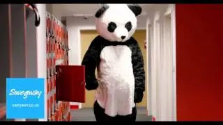 Swegway.co.uk's Funky Panda Boards!