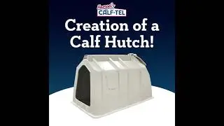 Creation of a Calf Hutch!