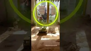 Это кафе стало вирусным!