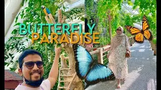 DISCOVER THE BUTTERFLY PARADISE IN KONYA TURKEY