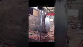 The world's most expensive wood.Black wood 🪵 #facts #shorts