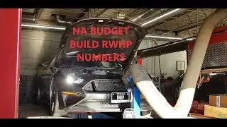 '19 Mustang GT PP1 NA Budget Build Dyno Numbers