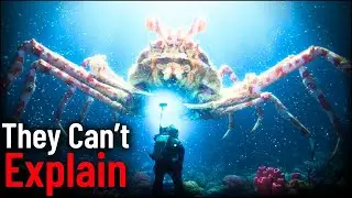 Why Deep Sea Creatures Get CREEPIER The Deeper You Go