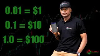 How to Calculate Profits in Forex (Beginner&rsquo;s Guide)