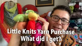 202 Yarn Video - Little Knits Yarn Purchase - What did I get?