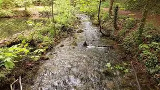 Relaxing Water Flow | Nature