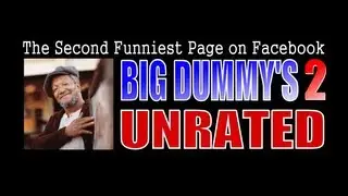 BIG DUMMY'S - VOL 1