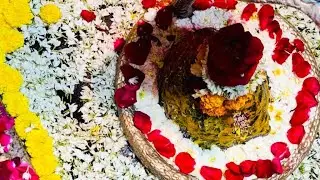 महादेव की प्रिय राशि कौन कौन सी है 🙏#live stream 🔴#shortfeed#virallive #tradinglive @sanjanacomdey92