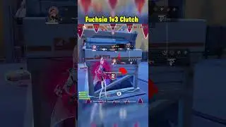 Strinova Fuchsia Gameplay 1v3 Clutch #strinova #strinovagameplay #shorts