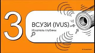 Эндоваскулярная хирургия. ВСУЗИ (IVUS) И ОКТ (OCT)- внутрисосудистые методы визуализации 