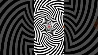 The Ultimate Optical Illusion Showcase