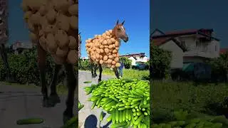 Horse have special effects on each c4d #shortsfeed #shortsyoutube