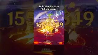 New World Record! Navia 15.5m Damage