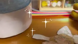 귀여운 관절 인형❤️🩷💕