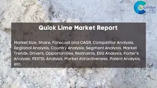 Quick Lime Market Report 2024| Forecast, Industry Trend,share Price,Market Size & Growth