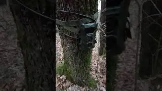 posizionamento #coolife H953 con cavo Master lock e lucchetto !!! #fototrappola #trailcam #shorts