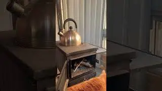 She found out how the stove works #animals #orangecat #fyp #iphone