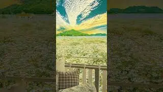 Morning view #trending #nature #truehappiness #whatsapp_status #happinessforever #viral