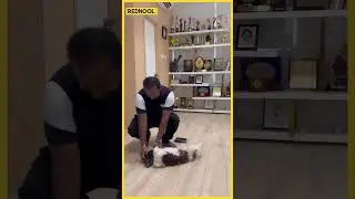 Thalapathy Vijay Manager Plays with Keerthy Suresh's Dog NYKE 😍 