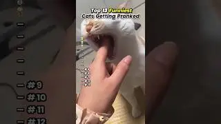 #редактированиетекстапесен