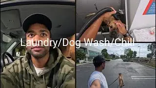 How I Spend Saturday Living in my Car (Honda Element)