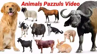Cute Animals Video Sheep, Pig, Deer, Cow, Goat | Farm Animals Pazzuls Video | Animals Sounds| #sheep