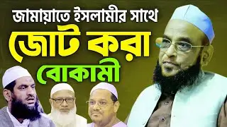 জামায়াতে ইসলামির সাথে জোট করা বো*কামী। আল্লামা নুরুল ইসলাম ওলীপুরী। 