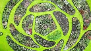 Tollcross Park - Rose Trials - Glasgow