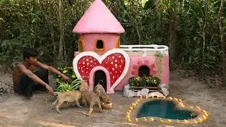Rescue abandoned puppies building valentine house on Valentine Day for puppies