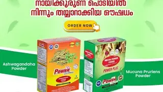 Power Plus Herbals  | Ashvagandha Powder |  Mucuna Pruriens Powder | Parkovel 197