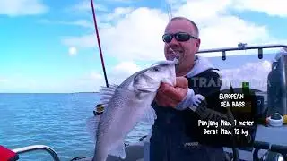 MANCING MANIA | HASIL MANIS MANCING DI PERANCIS (14/04/19) PART 1