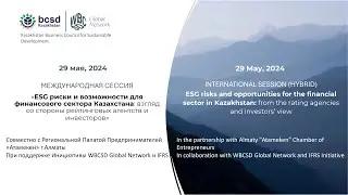ESG risks and opportunities for the financial sector