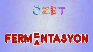 Fermentasyon / &Ouml;zet