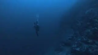 Rebel CCR Rebreather diving in Blue Hole #scubadiving #дайвингпервыйраз #ребризер #дайвинг 