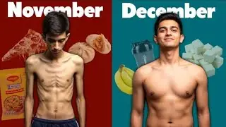 Weight gain karne hai (November to December)🦍