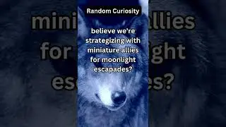 What if Wolves Believe This About Board Games? Random Curiosity for Your Inspiration #animals #funny