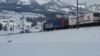 Re 474 017-1 mit auto makro