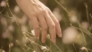 Poema | Architecture Film