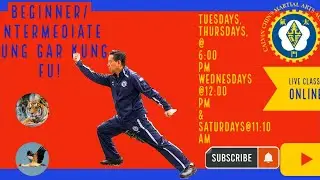 Beginner/Intermediate Hung Gar Kung Fu all ages Live!