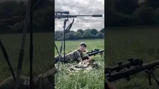 Rabbit Shooting with a Cheeky Fox! Watch the full version on my main video : link in description
