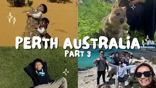 PERTH AUSTRALIA PART 3 | Pinnacles Desert, Rottness Island, Kings Park