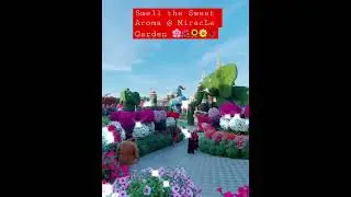 WHAT YOU SEE IN MIRACLE GARDEN / WINSVLOG