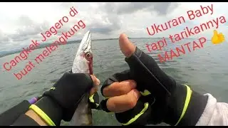 MANCING TEKHNIK CASTING STRIKE BABY BARRACUDA!