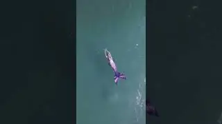 mermaid most beautiful video❤️❤️❤️ part 1