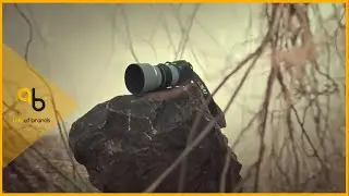 Canon: Take Off With The Song Of Birds